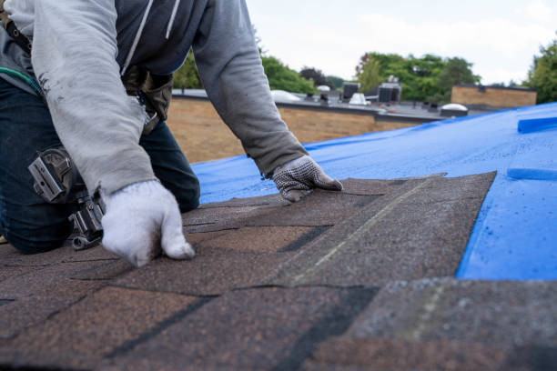 Emergency Roof Repair in Lebanon, OH