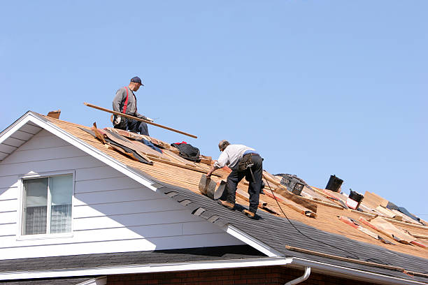 Best Roof Moss and Algae Removal  in Lebanon, OH